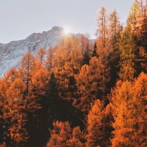 Meet your Posher, Jaydin